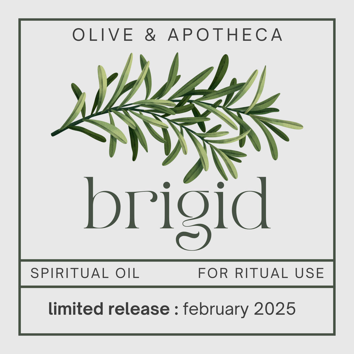 brigid's blessing